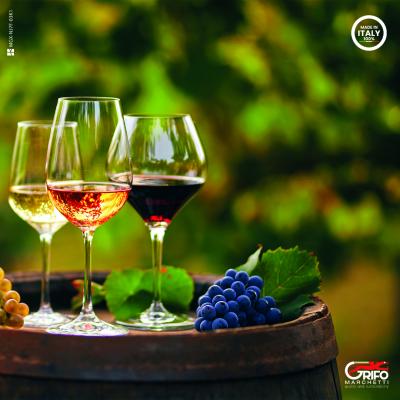 Wein und Ökologie: Entdecken wir seine Nachhaltigkeit mit Grifo Marchetti!